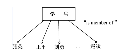 image-20241121210902533